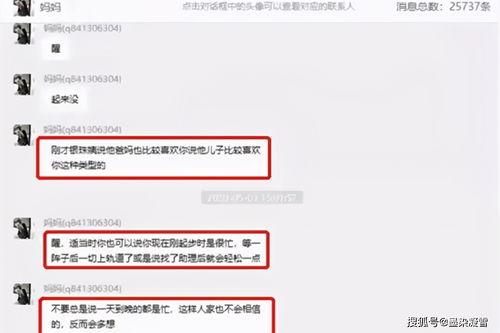 文字吃瓜视频,背后真相与娱乐现象解析