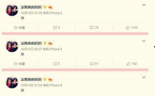 文字吃瓜视频,背后真相与娱乐现象解析