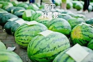 平湖天虹吃瓜大赛,吃瓜大赛欢乐无限