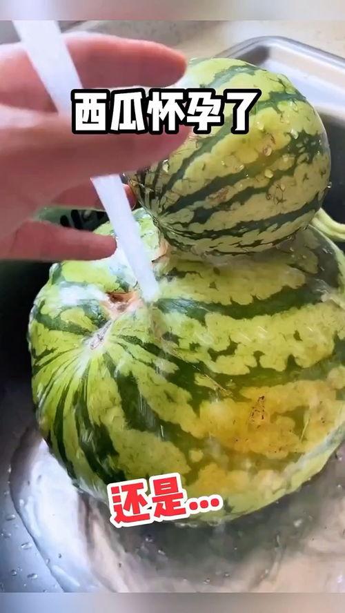 韩城吃瓜配音,笑料横生，配音盛宴来袭！