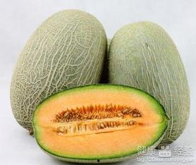 吃哈密瓜 体香,揭秘体香与美食的奇妙邂逅