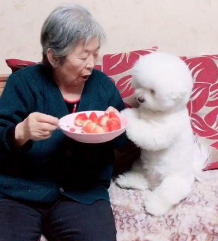 儿童看到姥姥吃瓜,温馨一幕，传承家的味道