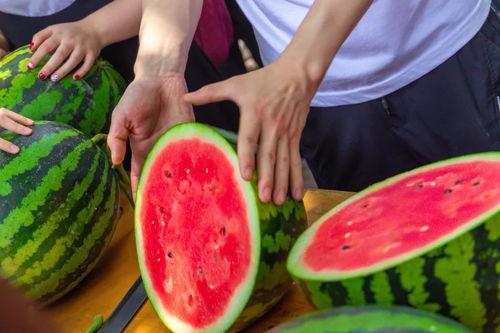 怎样能在樱校吃瓜,揭秘校园里的那些“秘密”趣事