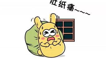 吃瓜群众9517,网络红人的崛起与影响力