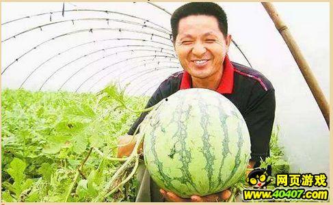 qq吃瓜墙,网络舆论场上的风云变幻