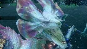 jr吃瓜,揭秘娱乐圈幕后故事