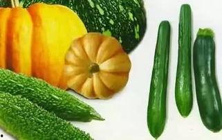 jr吃瓜,揭秘娱乐圈幕后故事