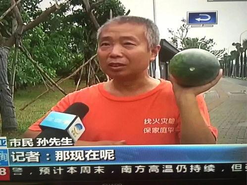 安国吃瓜热点事件,揭秘网络舆论背后的真相与反思