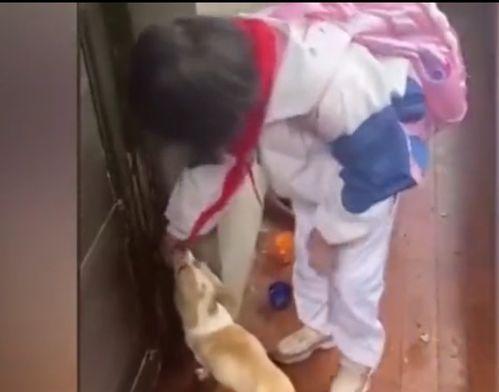 女生独居吃瓜,瓜田里的温馨日常