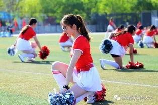 吃瓜校园长椅,揭秘校园生活点滴