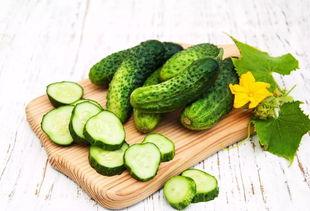 带你吃瓜去广东,带你领略广东美食之旅