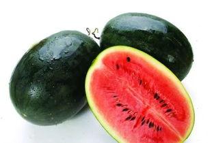 苦力瓜怎么吃,解锁美味新境界