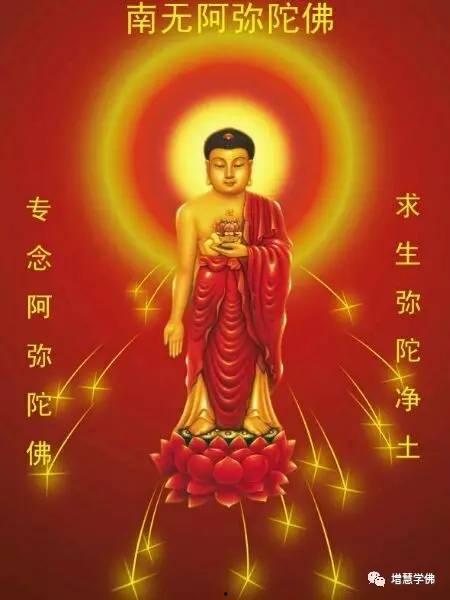 吃瓜念佛往生,探寻心灵升华的奇妙旅程