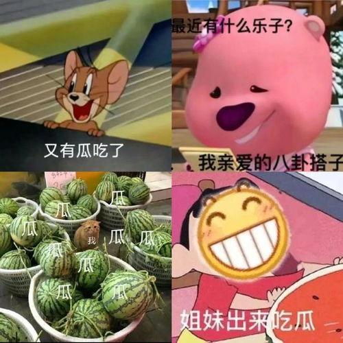 文档吃瓜,揭秘吃瓜背后的文化现象与社会影响