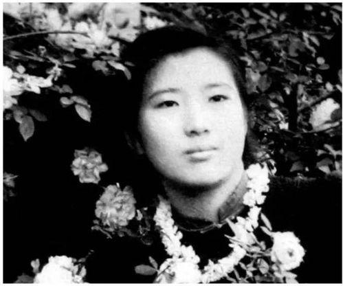 南丁格尔吃瓜,南丁格尔的意外瓜界奇遇