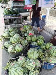 睢县吃瓜事件,一场网络舆论的风波与反思