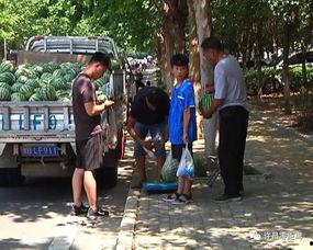 莒南吃瓜群众图片