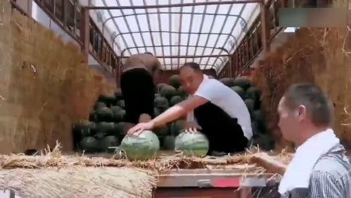 缅甸吃瓜现场视频,热闹非凡，民众围观热议