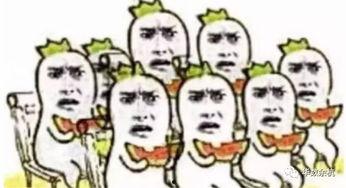 吃瓜付费吗,揭秘网络娱乐消费新趋势