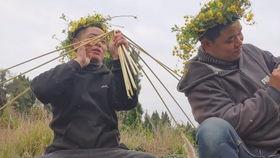 吃哈密瓜死了,悲剧背后的食品安全警示