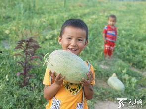 吃瓜群众展现绝技,揭秘网络热议背后的神秘力量