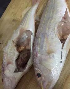 三鱼吃瓜,共享夏日清凉时光