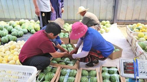 洪山区吃瓜,瓜果飘香，美食地图探秘