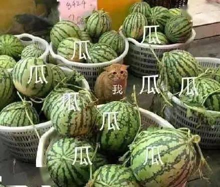 上头时吃瓜,网络热点的背后真相