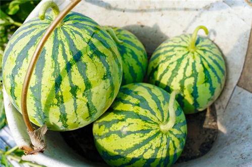 上头时吃瓜,网络热点的背后真相