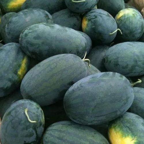 武汉封校吃瓜,武汉学子共度时艰，吃瓜群众见证成长