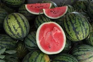 一瓜两吃图片,创意烹饪新体验