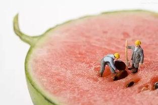 立秋吃瓜的说法,探寻传统习俗中的立秋吃瓜文化