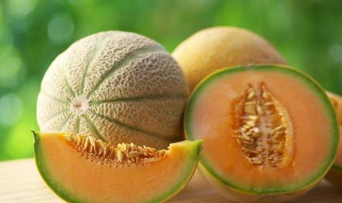 减肥期间吃哈密瓜,哈密瓜助力减肥之旅
