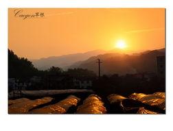 夕阳下吃瓜人,岁月静好的闲适时光