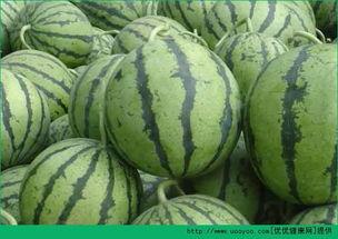 吃瓜中毒咋办,吃瓜中毒紧急应对指南