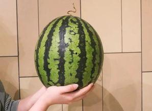 夏唯超级吃瓜,揭秘娱乐圈幕后风云