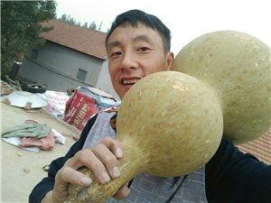 沂水骑行圈吃瓜,一场吃瓜盛宴背后的故事