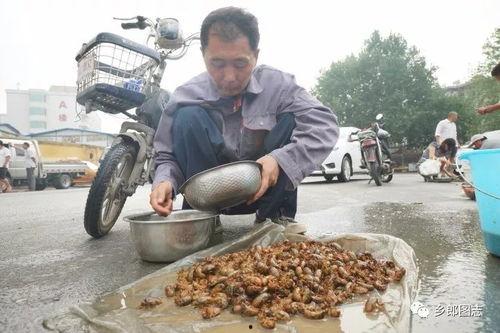 沂水骑行圈吃瓜,一场吃瓜盛宴背后的故事