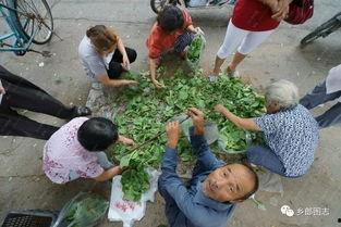 沂水骑行圈吃瓜,一场吃瓜盛宴背后的故事