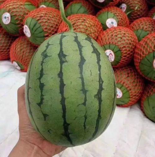 吃瓜聊天框,揭秘娱乐圈幕后故事